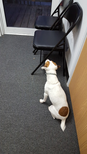 Electronics Repair Shop «iBROKEiT», reviews and photos, 108 E High St, Lebanon, TN 37087, USA