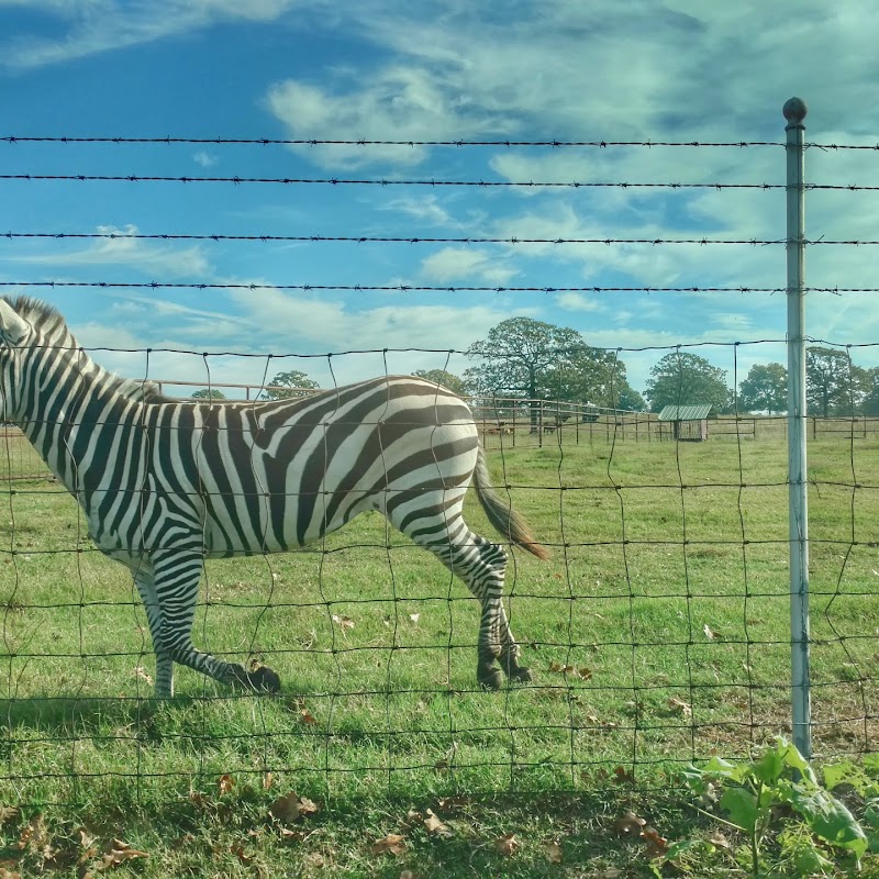 Woolaroc Museum & Wildlife Preserve