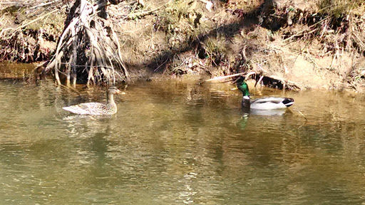 Park «East Cobb Park», reviews and photos, 3322 Roswell Rd, Marietta, GA 30068, USA