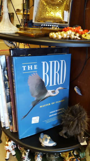 Antique Store «Cape May Antique Center», reviews and photos, 1228 NJ-109, Cape May, NJ 08204, USA