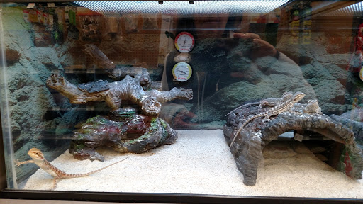 Pet Supply Store «Petco Animal Supplies», reviews and photos, 416 Crossroads Blvd, Cary, NC 27518, USA