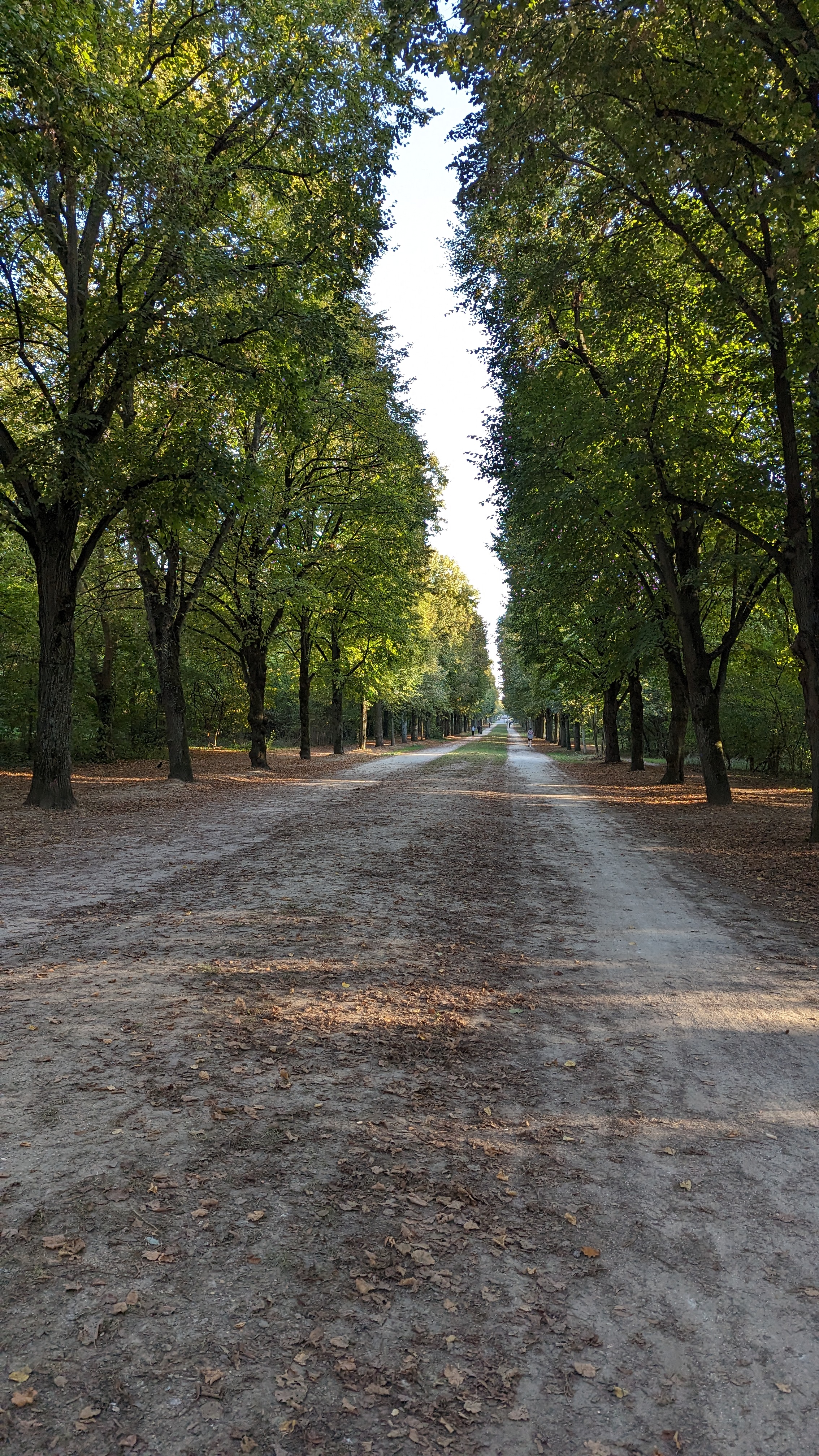 Photo n° 22 de l'avis de Alessandro.t fait le 09/03/2024 à 01:48