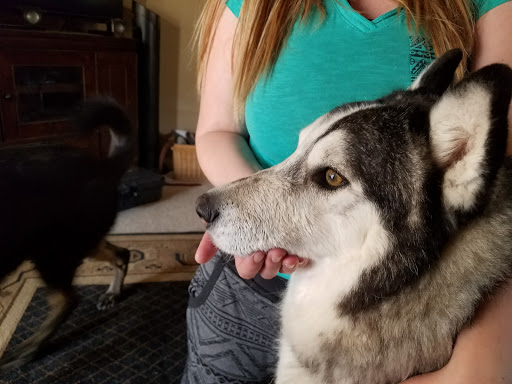 Pet Supply Store «PetSmart», reviews and photos, 21032 S Ellsworth Loop, Queen Creek, AZ 85142, USA