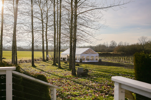 Vineyard «Keeler Estate Vineyard», reviews and photos, 5100 SE Rice Ln, Amity, OR 97101, USA