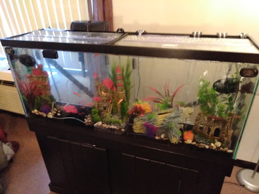 Pet Supply Store «Pet Supplies Plus», reviews and photos, 1213 Mentor Ave, Painesville, OH 44077, USA