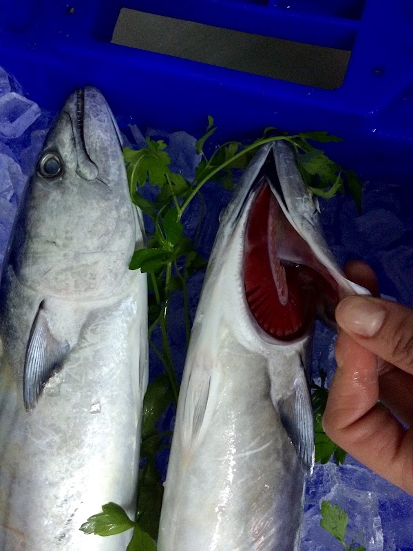 Imagen de Pescadería Cisne Gran Capitán (23 de 26)