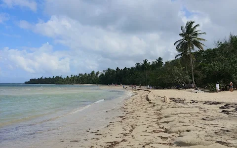 Playa Calolima image