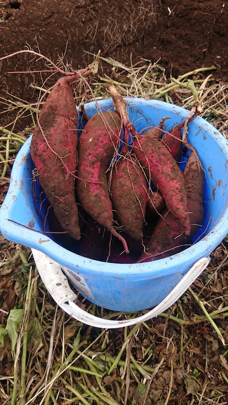 小山農園