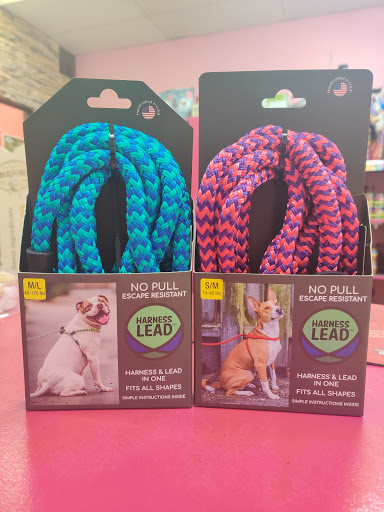 Pet Store «Woof Gang Bakery & Grooming DeLand», reviews and photos, 1431 Orange Camp Rd, DeLand, FL 32724, USA