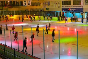 Orlando Ice Den image