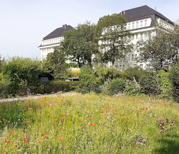 Gartensparte Laubenheim e.V. photo