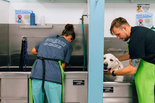 Pet Supply Store «Brookside Barkery & Bath», reviews and photos, 118 W 63rd St, Kansas City, MO 64113, USA