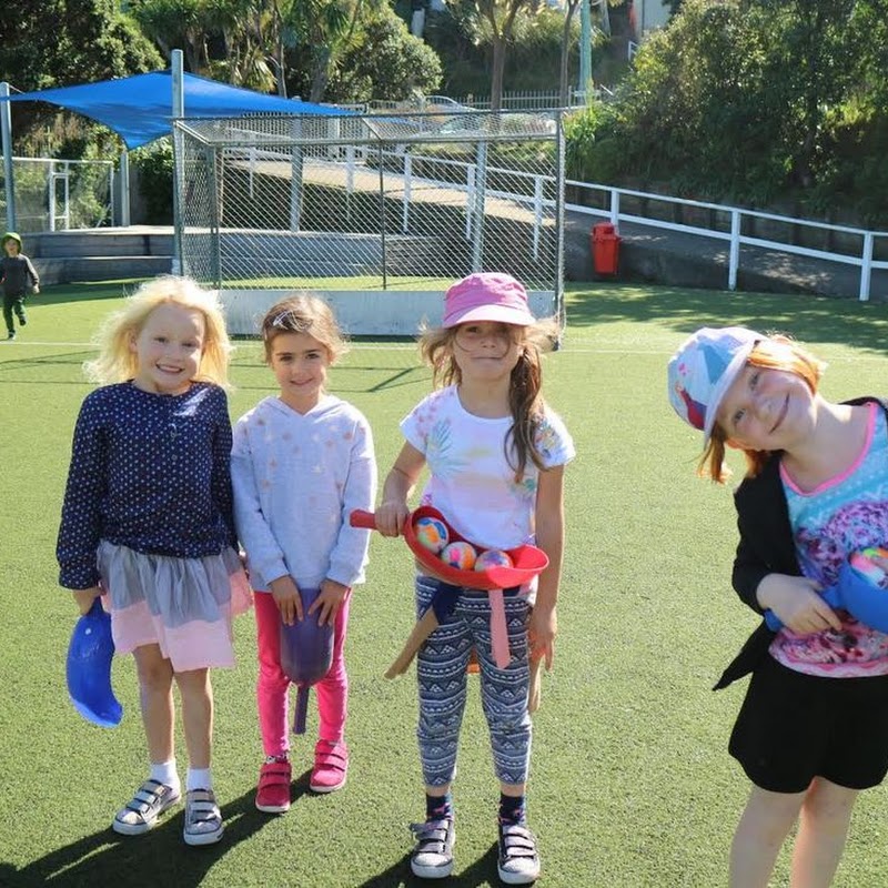 Hataitai School & Community Emergency Hub