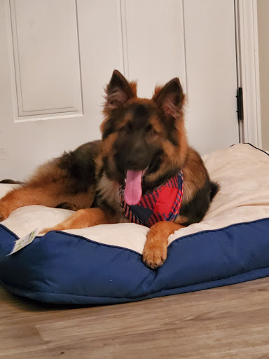 Pet Supply Store «PetSmart», reviews and photos, 2940 Chapel Hill Rd, Douglasville, GA 30135, USA