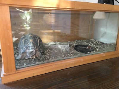 (有)フリースタイル