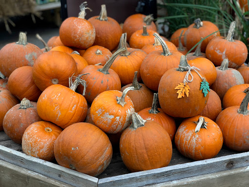 Garden Center «H J Benken Florist & Garden», reviews and photos, 6000 Plainfield Rd, Cincinnati, OH 45213, USA