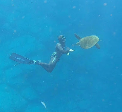 Stator Tenerife - Freediving & spearfishing