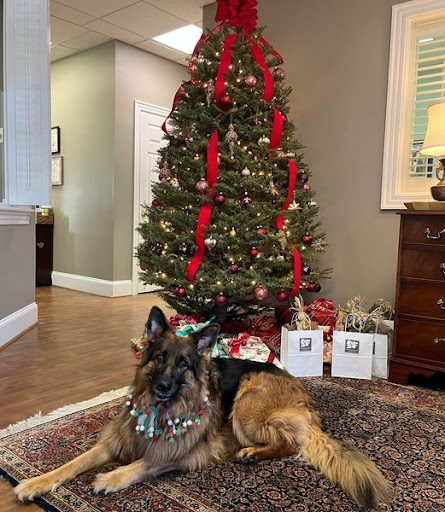 Insurance Agency «Polly Piland - State Farm Insurance Agent», reviews and photos