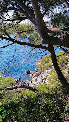 Pointe du Cap Martin à Roquebrune-Cap-Martin