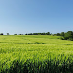 Photo n°1 de l'avis de H.S.. fait le 28/05/2023 à 14:43 sur le  Mühlenhof Breckerfeld à Breckerfeld