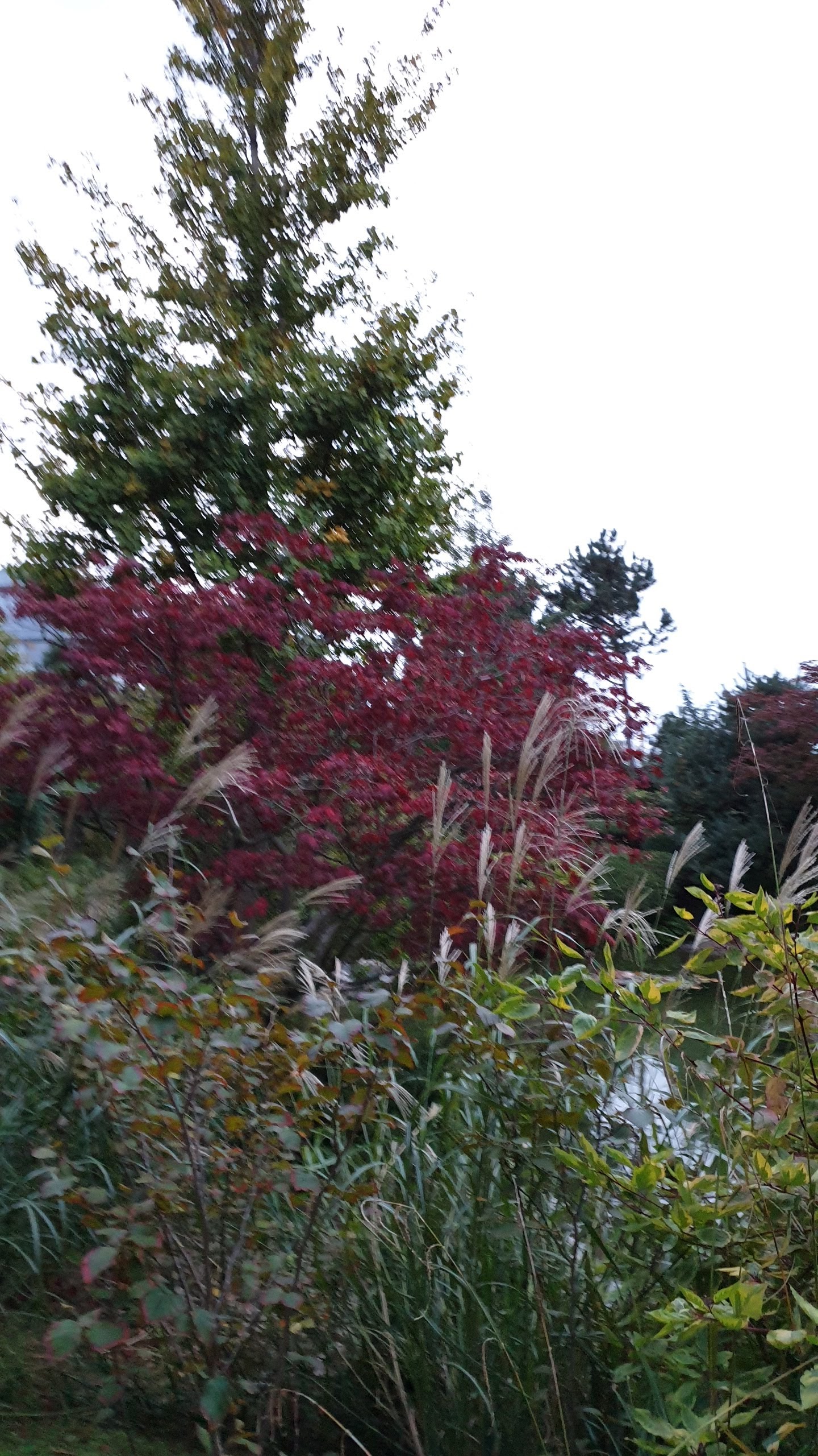 Photo n° 3 de l'avis de Frederic.O fait le 02/10/2019 à 10:53