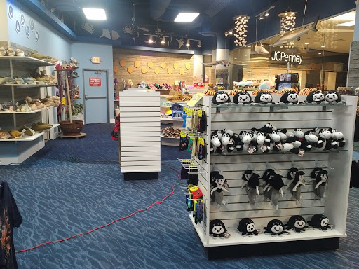 Aquarium shop Bridgeport