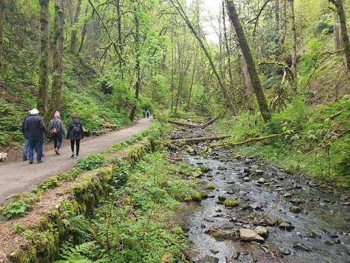 Park «Macleay Park», reviews and photos, NW 29th Ave & Upshur St, Portland, OR 97210, USA