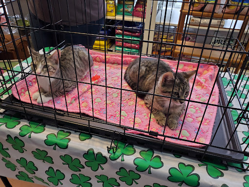 Pet Supply Store «Crunchies Natural Pet Foods», reviews and photos, 2421 Crofton Ln # 11, Crofton, MD 21114, USA