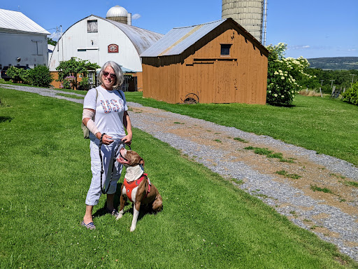 Winery «Hummingbird Hills Winery», reviews and photos, 1442 Burtonville Rd, Fultonville, NY 12072, USA