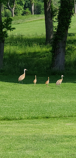 Golf Course «Elbel Golf Course», reviews and photos, 26595 Auten Rd, South Bend, IN 46628, USA