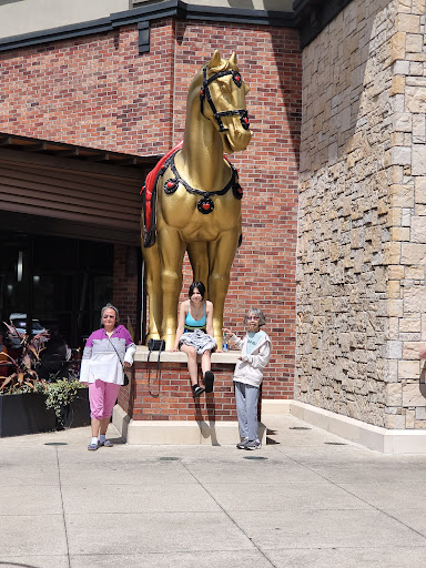 Shopping Mall «St Johns Town Center», reviews and photos, 4663 River City Dr, Jacksonville, FL 32246, USA