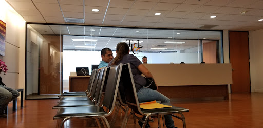 Law Firm «Telleria, Telleria & Levy , LLP», reviews and photos