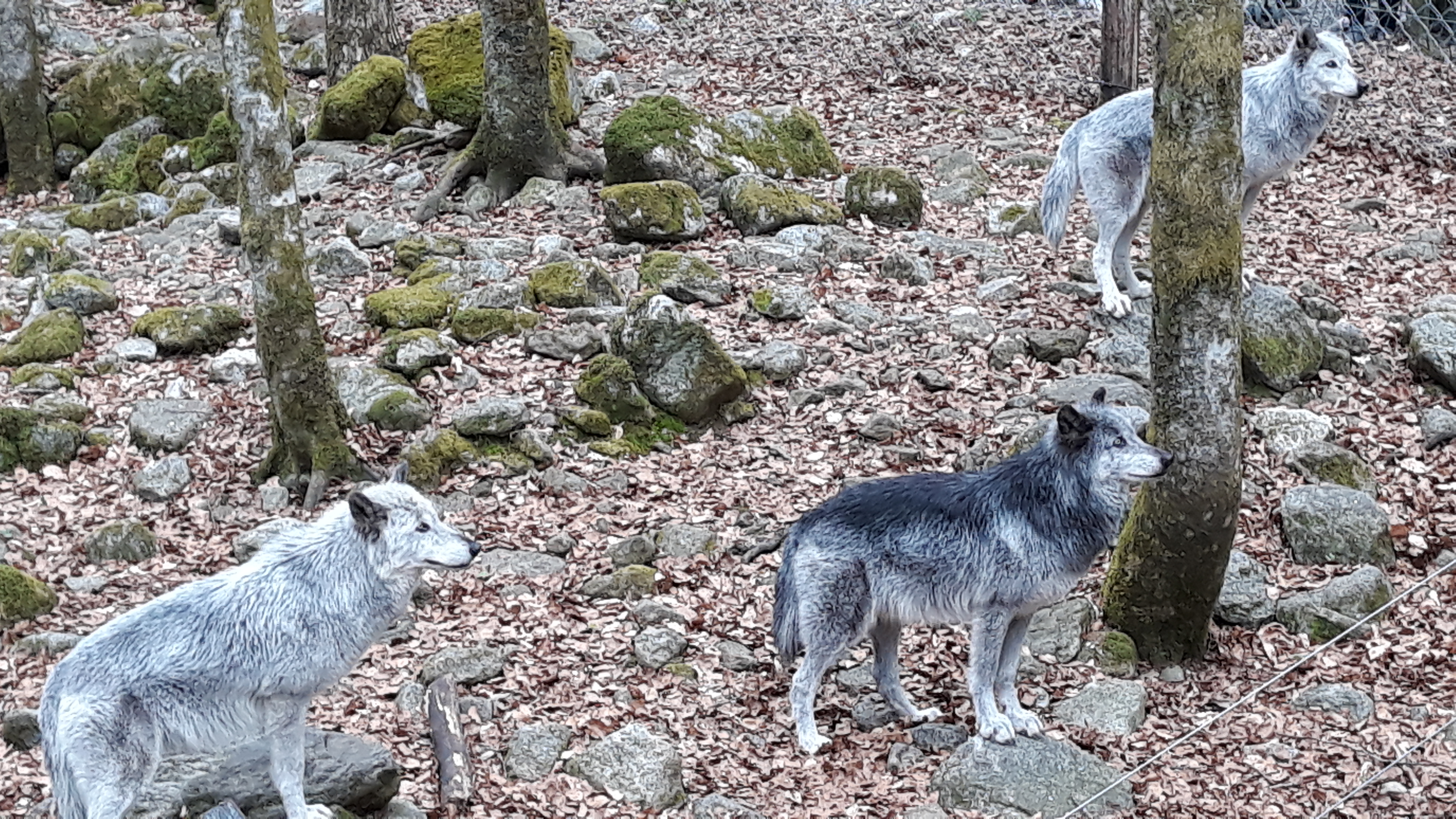 Photo n° 6 de l'avis de Anne.a fait le 24/04/2019 à 15:11