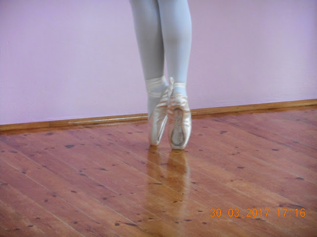 Σχολη κλασικου και συγχρονου χορου Εφη Λουδαρου - Σχολείο