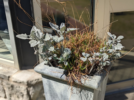 Museum «Umlauf Sculpture Garden & Museum», reviews and photos, 605 Robert E Lee Rd, Austin, TX 78704, USA