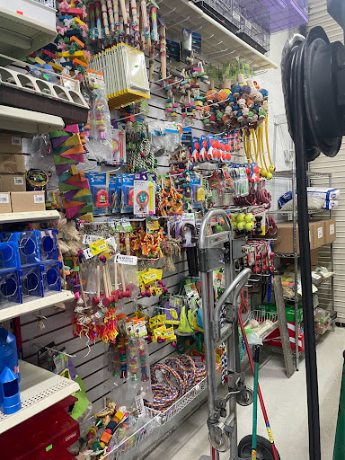 Gallegos Pet Shop, 3131 W 80th St, Hialeah, FL 33018, USA, 