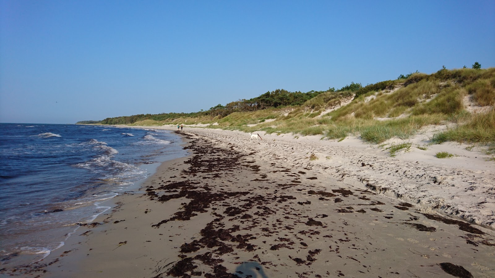 Foto von Strand Molle Odde mit türkisfarbenes wasser Oberfläche