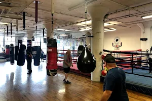 Sam Colonna Boxing image