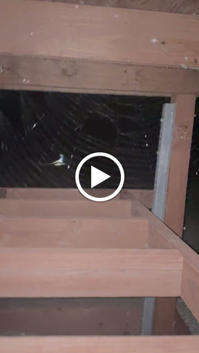 Auto Parts Store «NAPA Auto Parts - Genuine Parts Company», reviews and photos, 14829 Martin Dr, Eden Prairie, MN 55344, USA