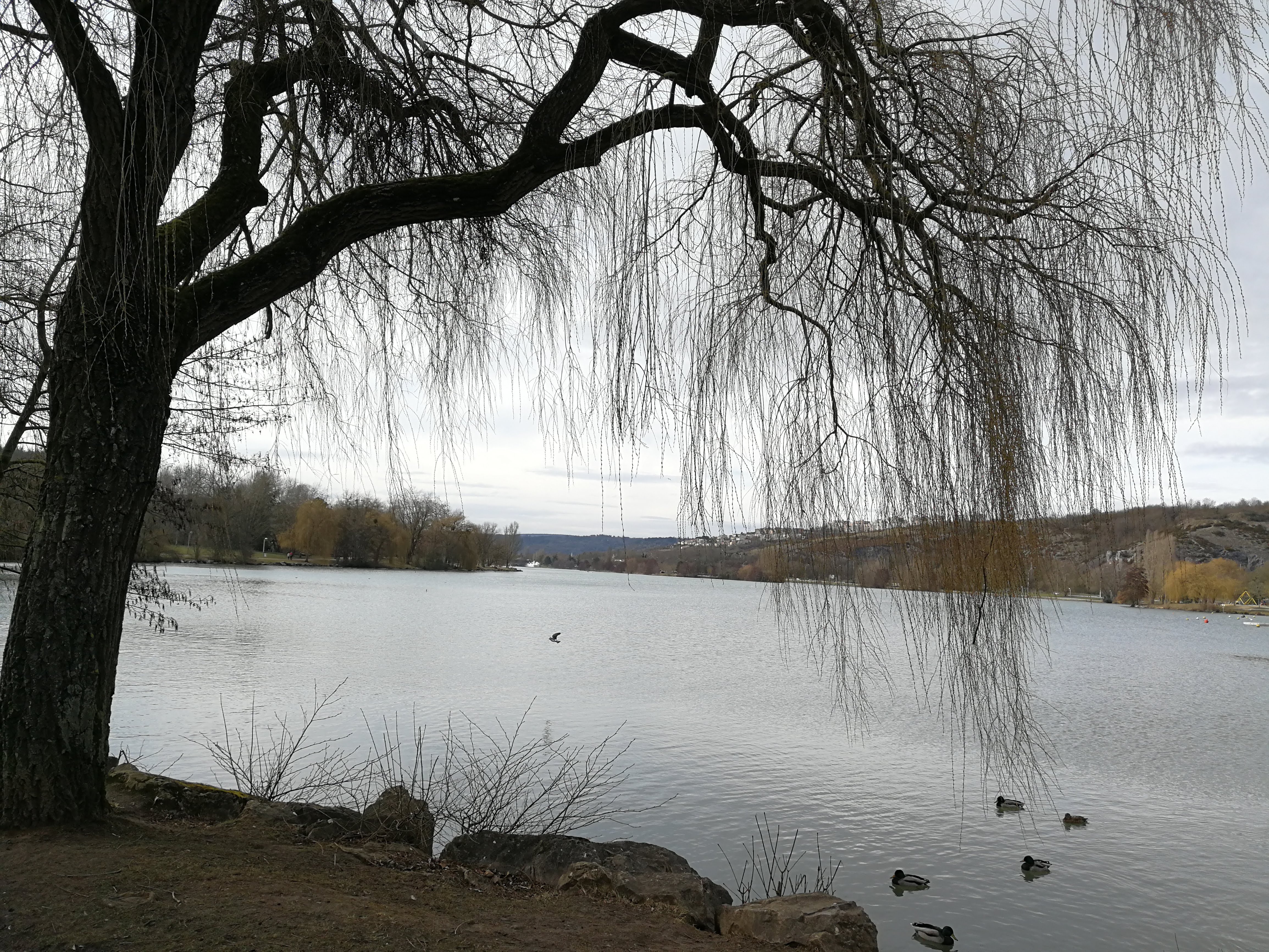 Photo n° 1 de l'avis de bruno.r fait le 09/03/2018 à 16:31