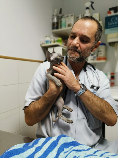 Hospitales y veterinarios de urgencia en Santiago de Compostela de 2024