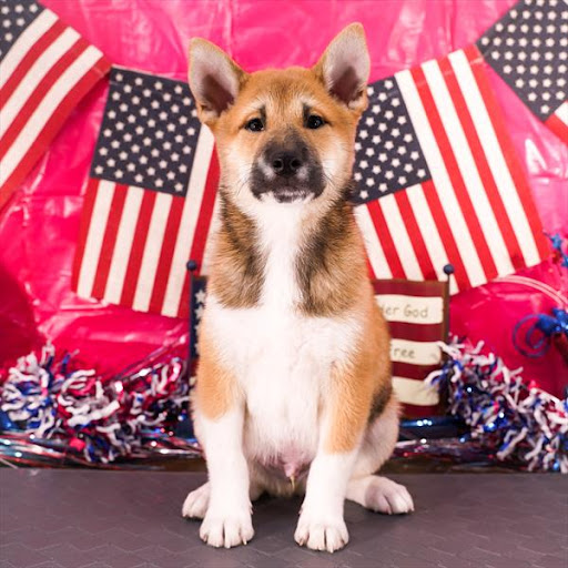 Pet Store «Pet Planet», reviews and photos, 11968 S Redwood Rd, Riverton, UT 84065, USA