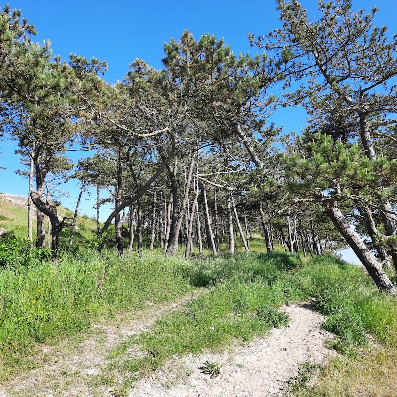 Wandelpad Terschelling