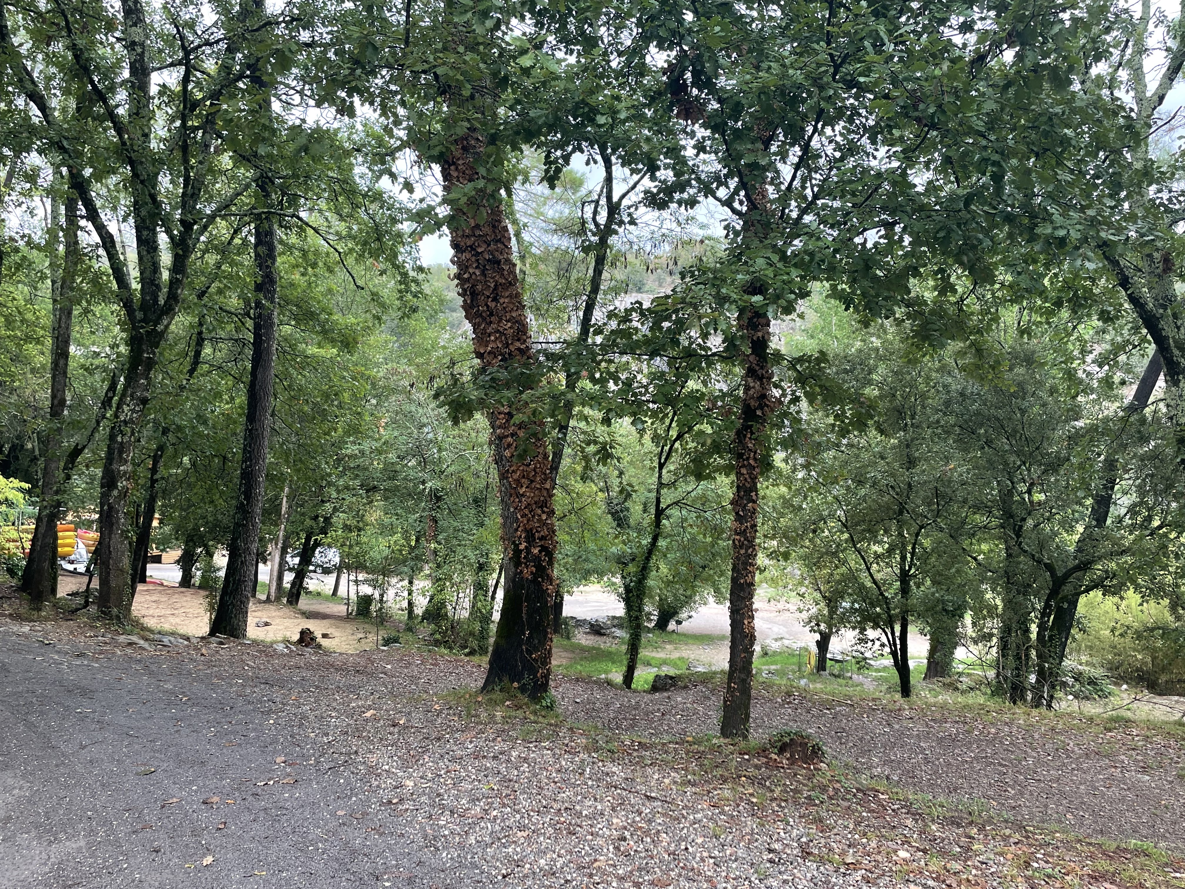Photo n° 2 de l'avis de A. fait le 14/10/2023 à 06:16