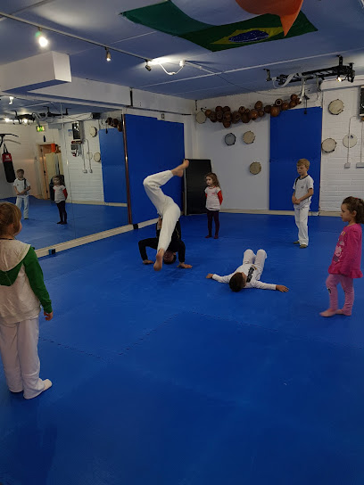 Capoeira school