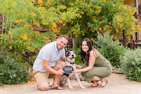 Christy Hunter Photography - Photo 6 - Car repair in , Clarksville