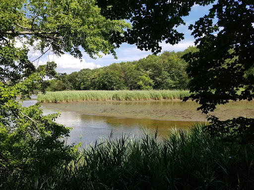 Park «Eastern Regional Park», reviews and photos, 11723 Eastern Ave, Middle River, MD 21220, USA