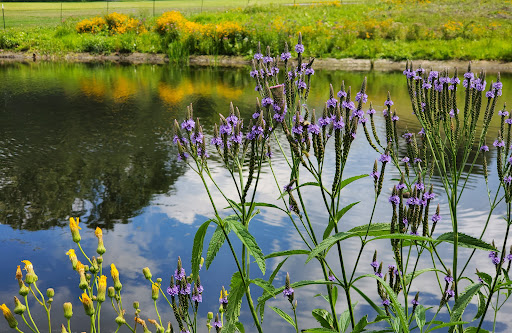 Golf Club «Columbia Golf Club», reviews and photos, 3300 Central Ave NE, Minneapolis, MN 55418, USA