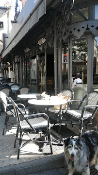 Atmosphère du Restaurant Mon Bar Bistrot & Tabacco à Arles - n°5