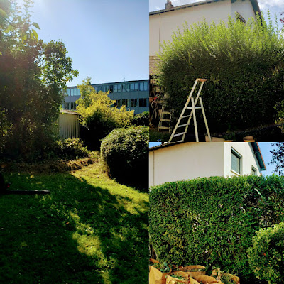 Solution Nuisibles et Ramonage - SN&R à Saint-Chéron